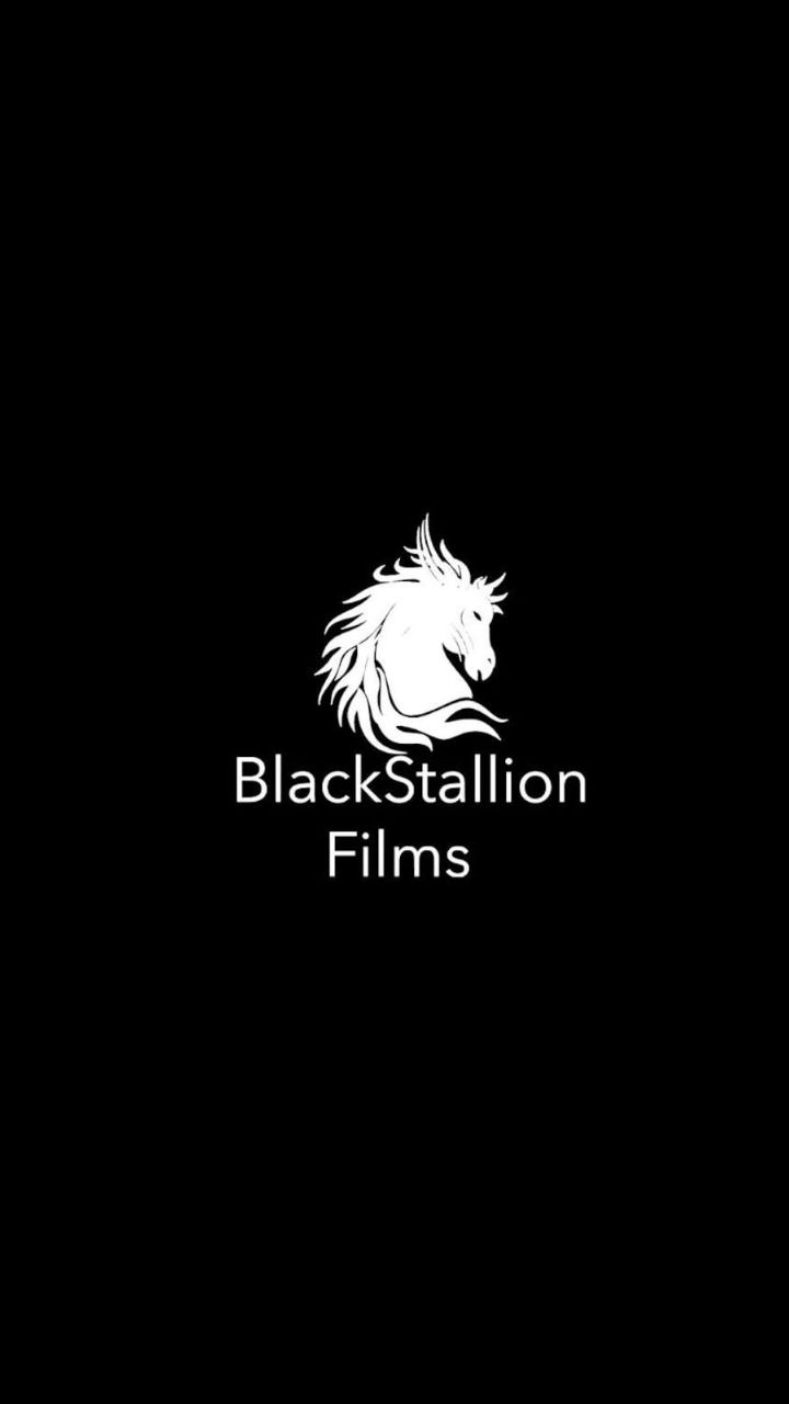 Black Stallion Films logo